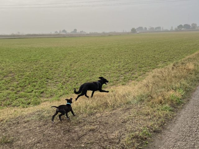 Dar amor sin esperar recibir a cambio